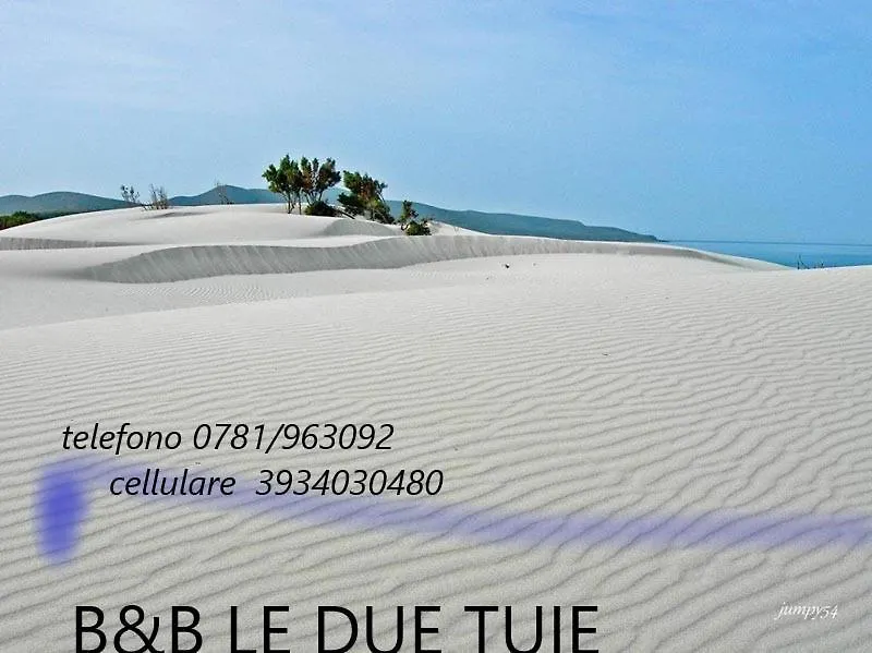 Couette-café Bed and Breakfast Domos Le Due Tuie à Piscinas Italie